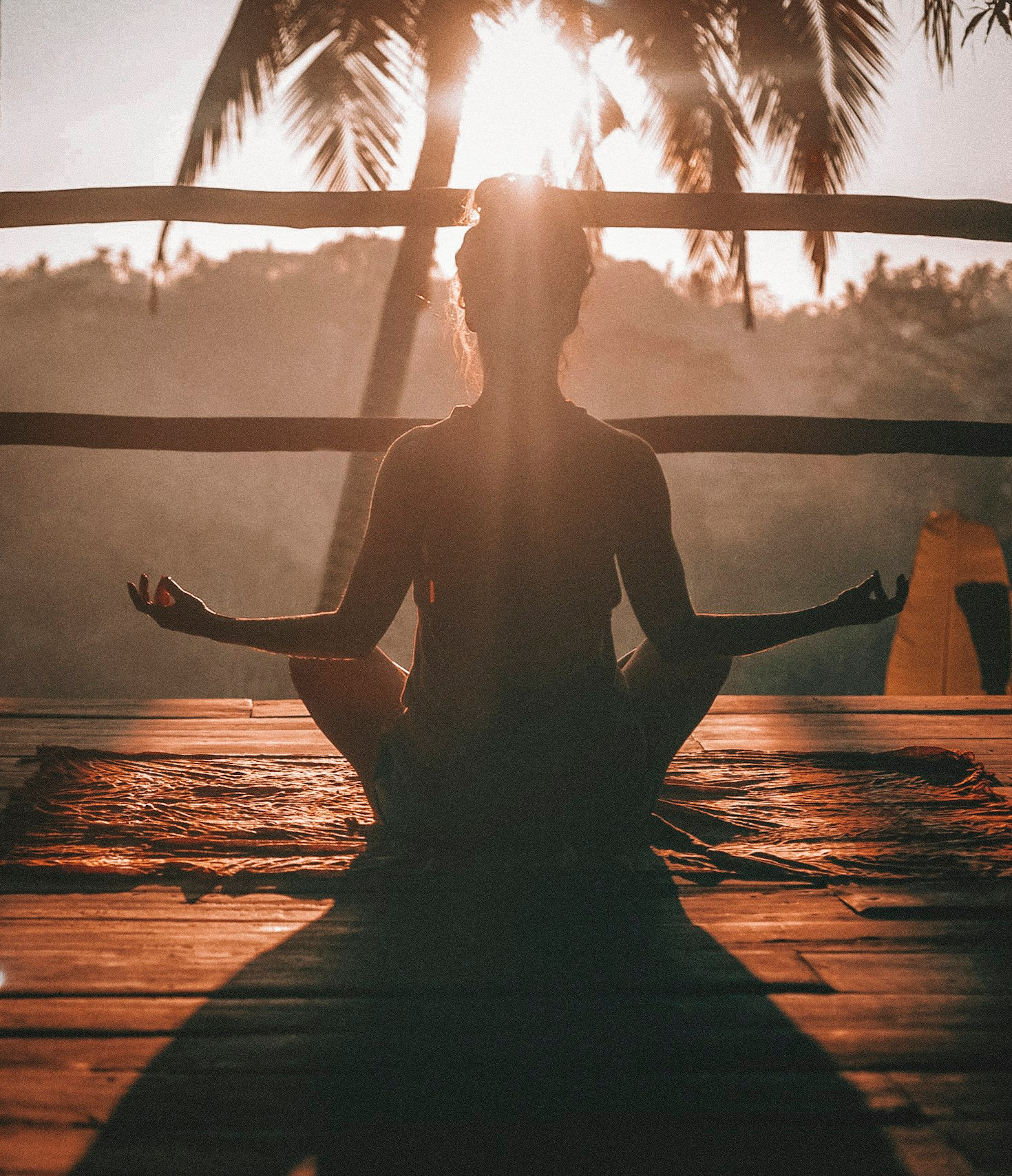 Exploring the Intersection of Culture and Lifestyle